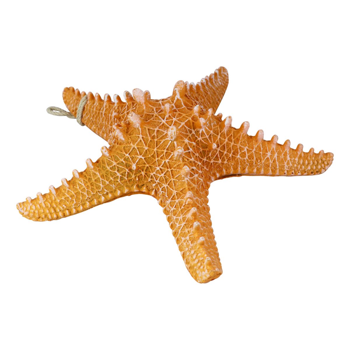 Seestern Rhino Deko / aus Resin, 30cm - SMA NAUTIC PRODUCTS