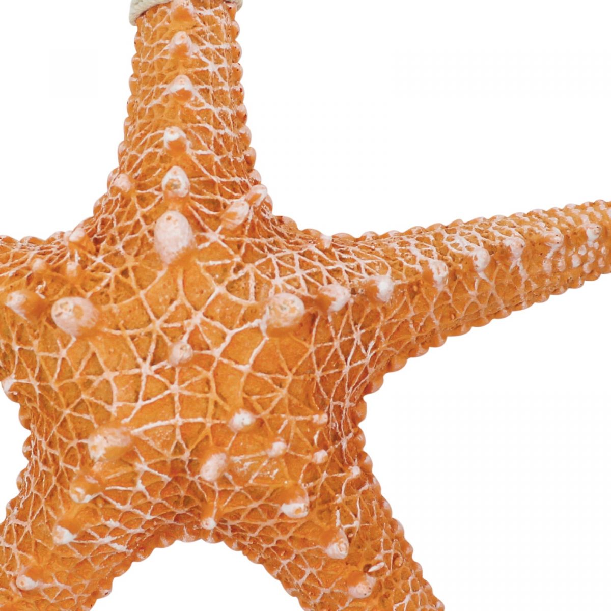 Seestern Rhino Deko / aus Resin, 30cm - SMA NAUTIC PRODUCTS