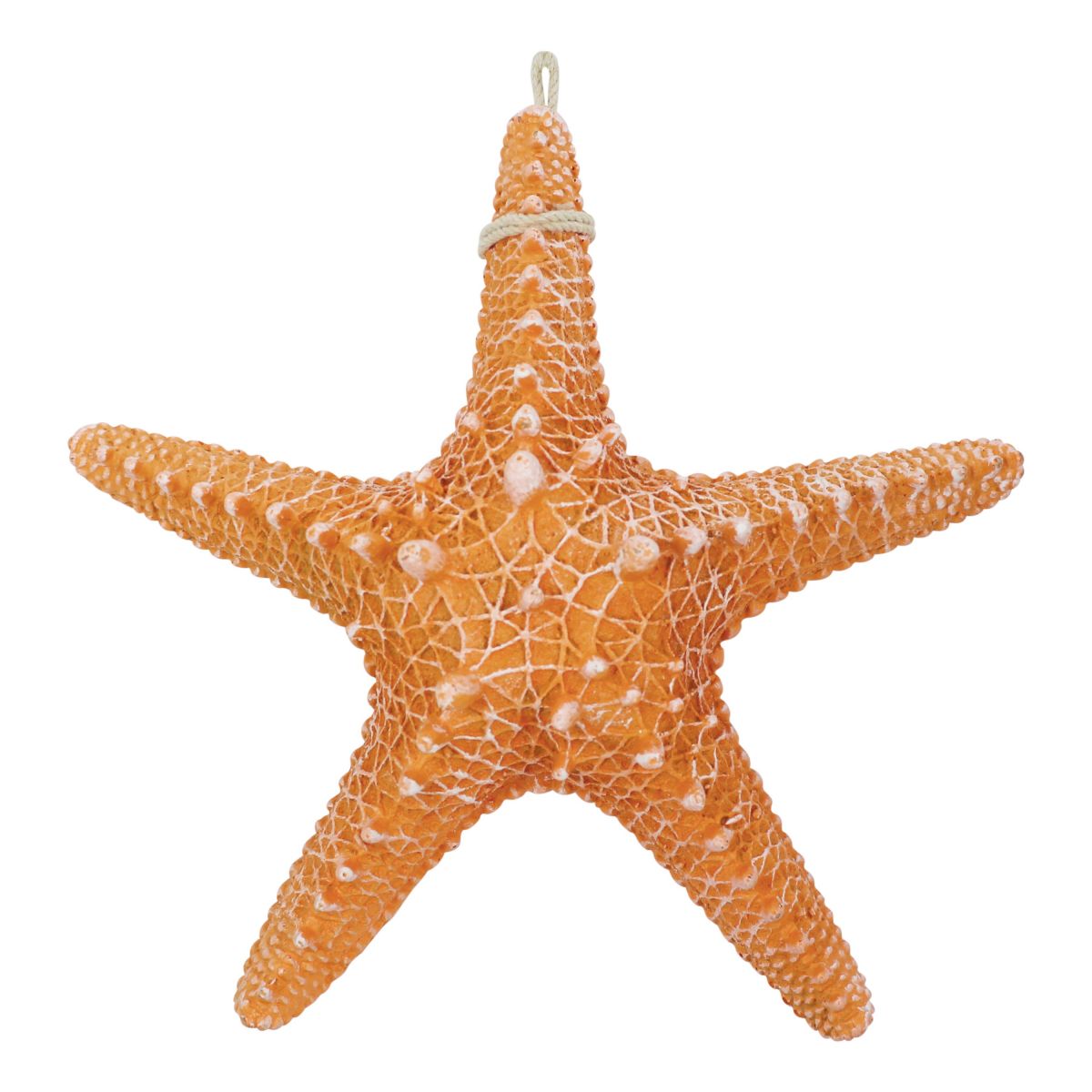 Seestern Rhino Deko / aus Resin, 30cm - SMA NAUTIC PRODUCTS