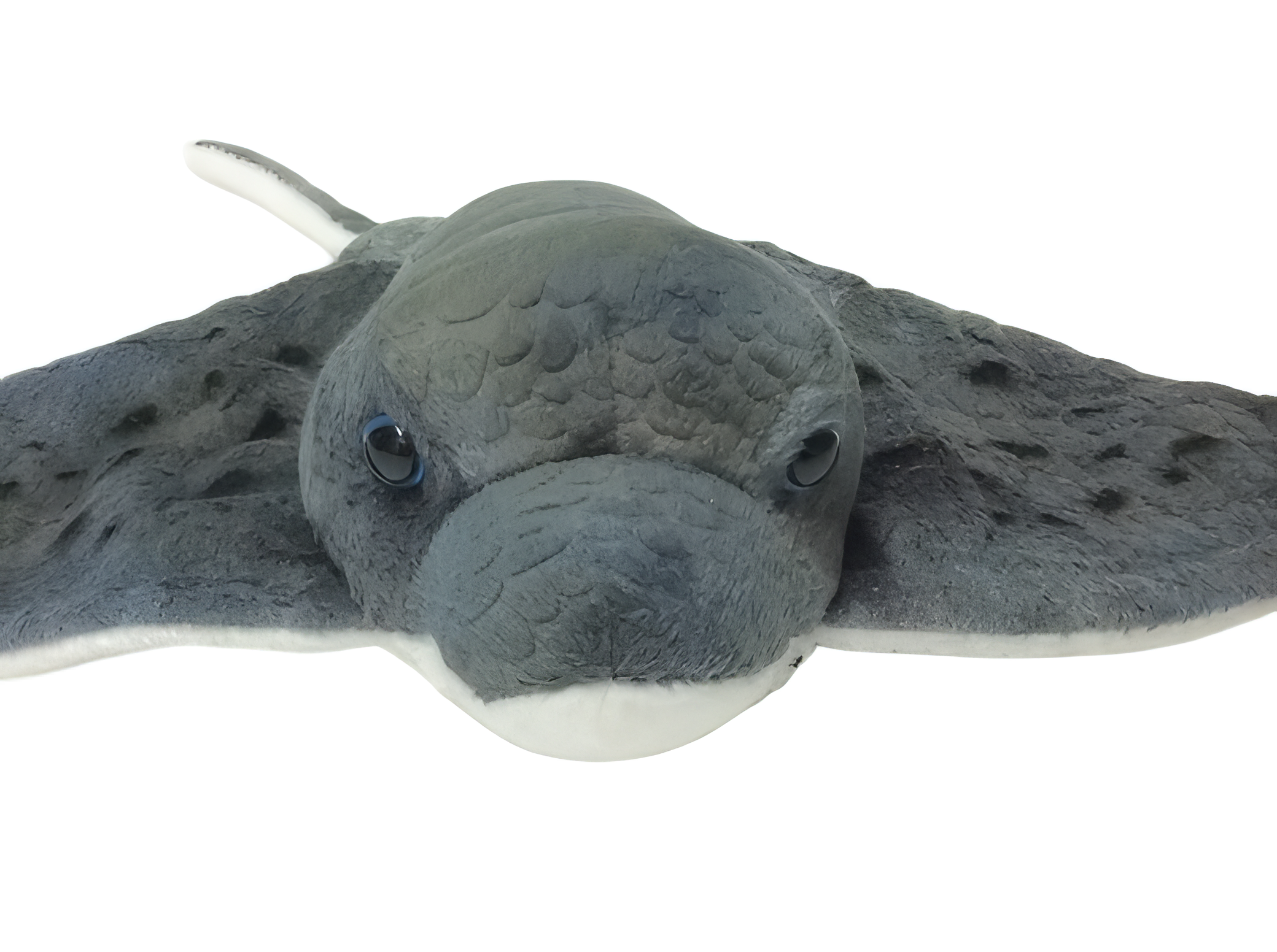 Stechrochen 34cm - Plüschtier