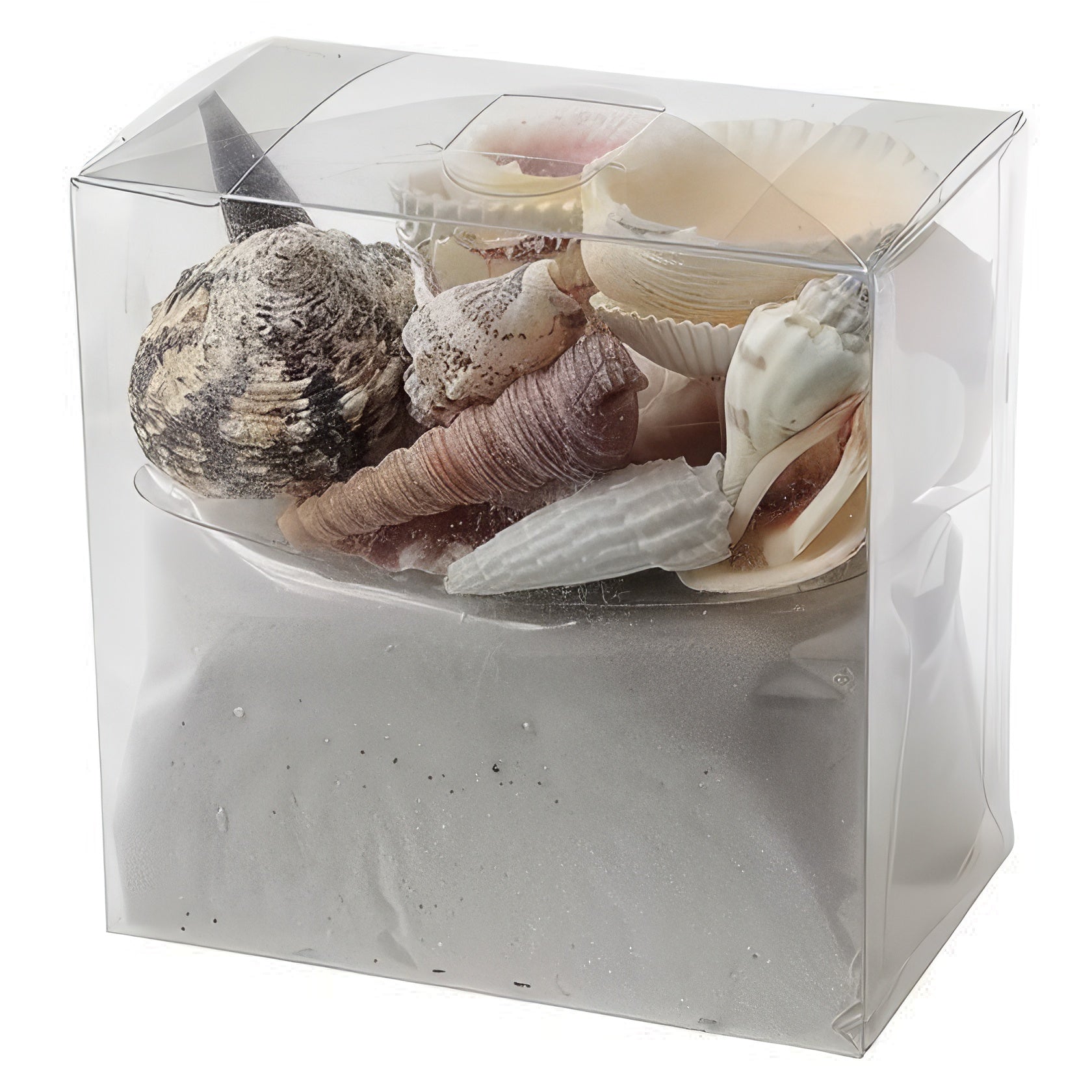 Muschel & Sand - Ensemble / env. 550gr.