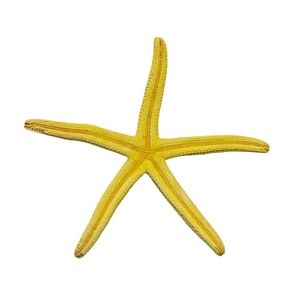 Finger - Seesterne Echt / gelb 8 - 11cm / Set mit 5Stk. - SMA NAUTIC PRODUCTS