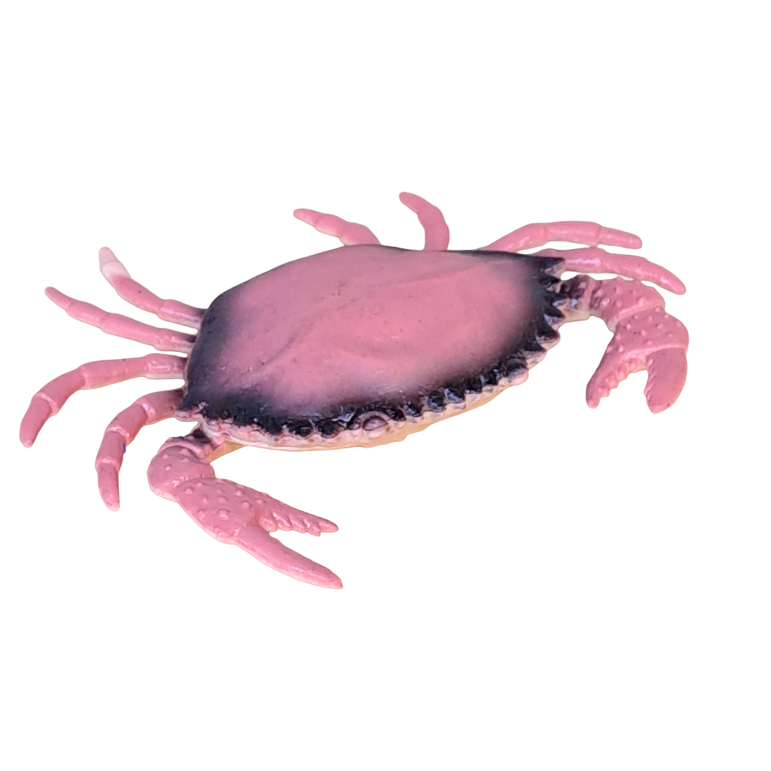 Strandkrebs deko 11cm x 8,5cm - SMA NAUTIC PRODUCTS