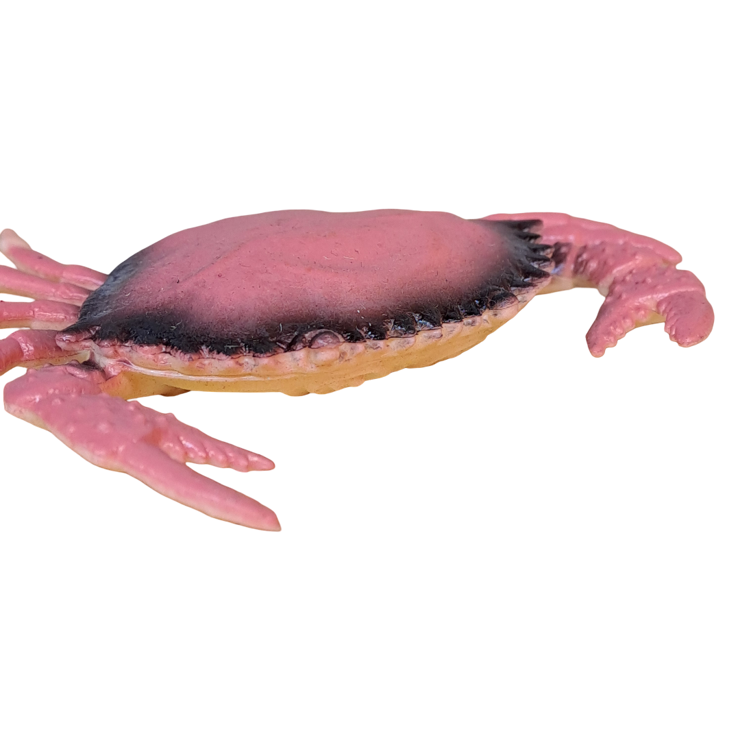 Strandkrebs deko 11cm x 8,5cm - SMA NAUTIC PRODUCTS