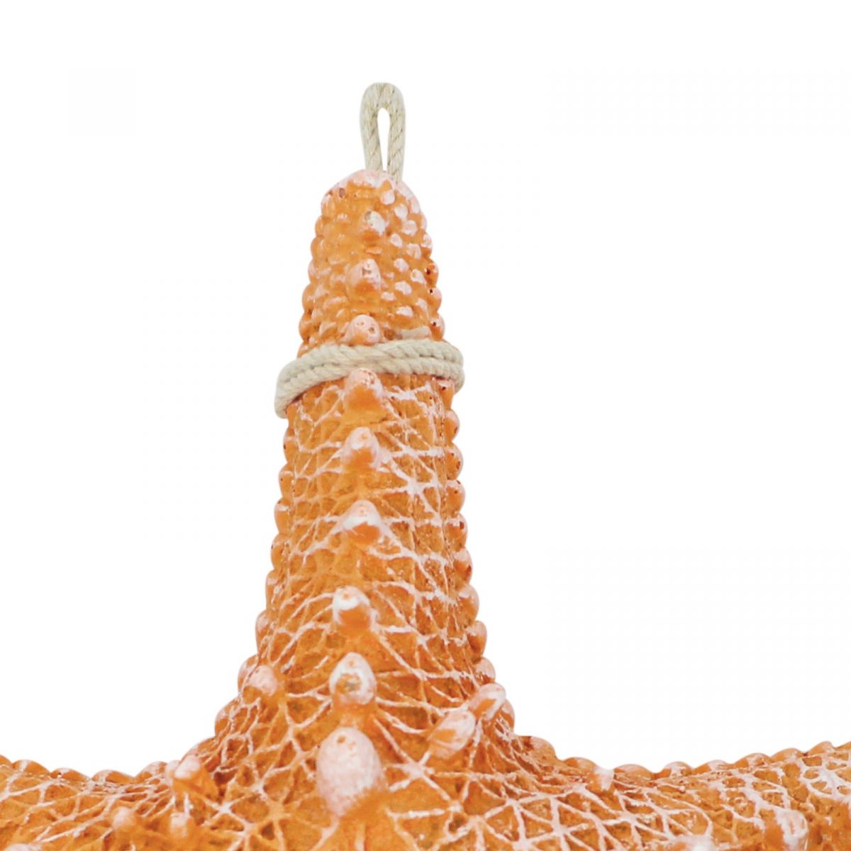 Seestern Rhino Deko / aus Resin, 30cm - SMA NAUTIC PRODUCTS