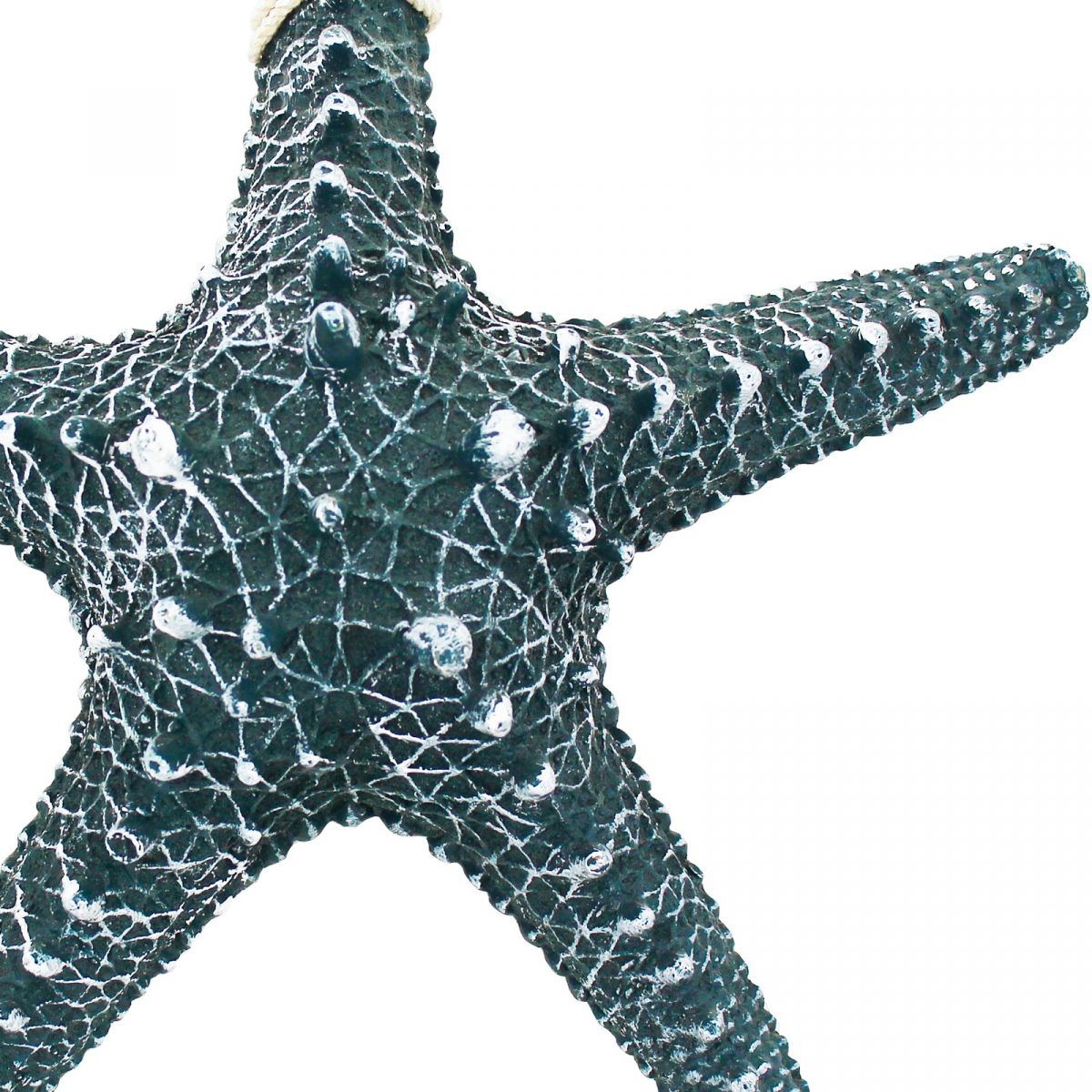 Seestern Rhino Deko / aus Resin, 30cm - SMA NAUTIC PRODUCTS