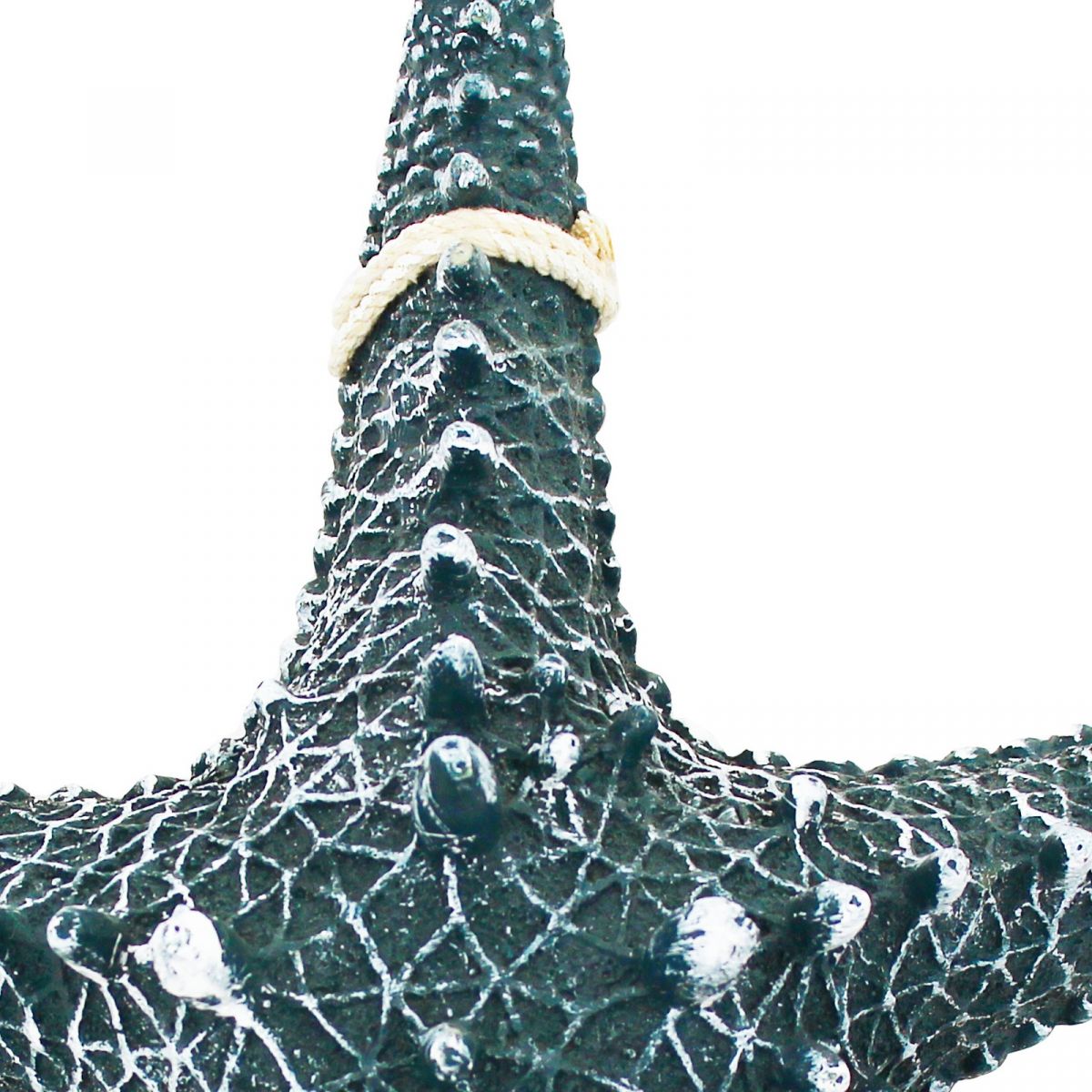 Seestern Rhino Deko / aus Resin, 30cm - SMA NAUTIC PRODUCTS