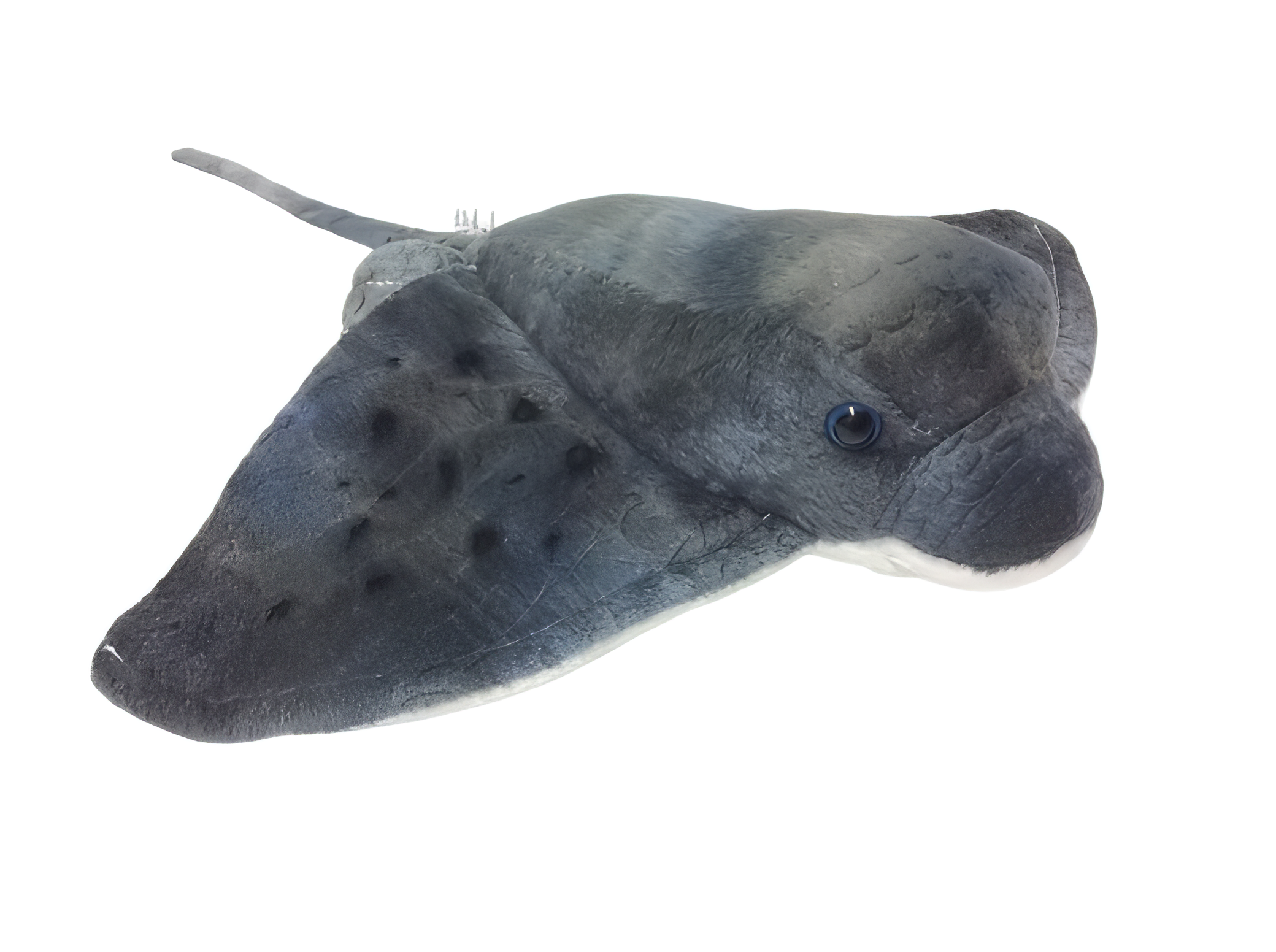 Stechrochen 34cm - Plüschtier