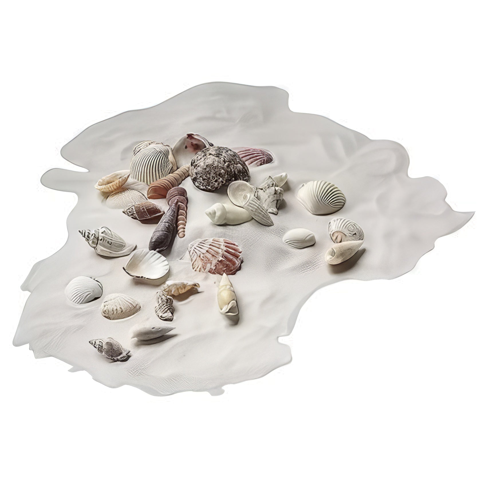 Muschel & Sand - Set / ca. 550gr.