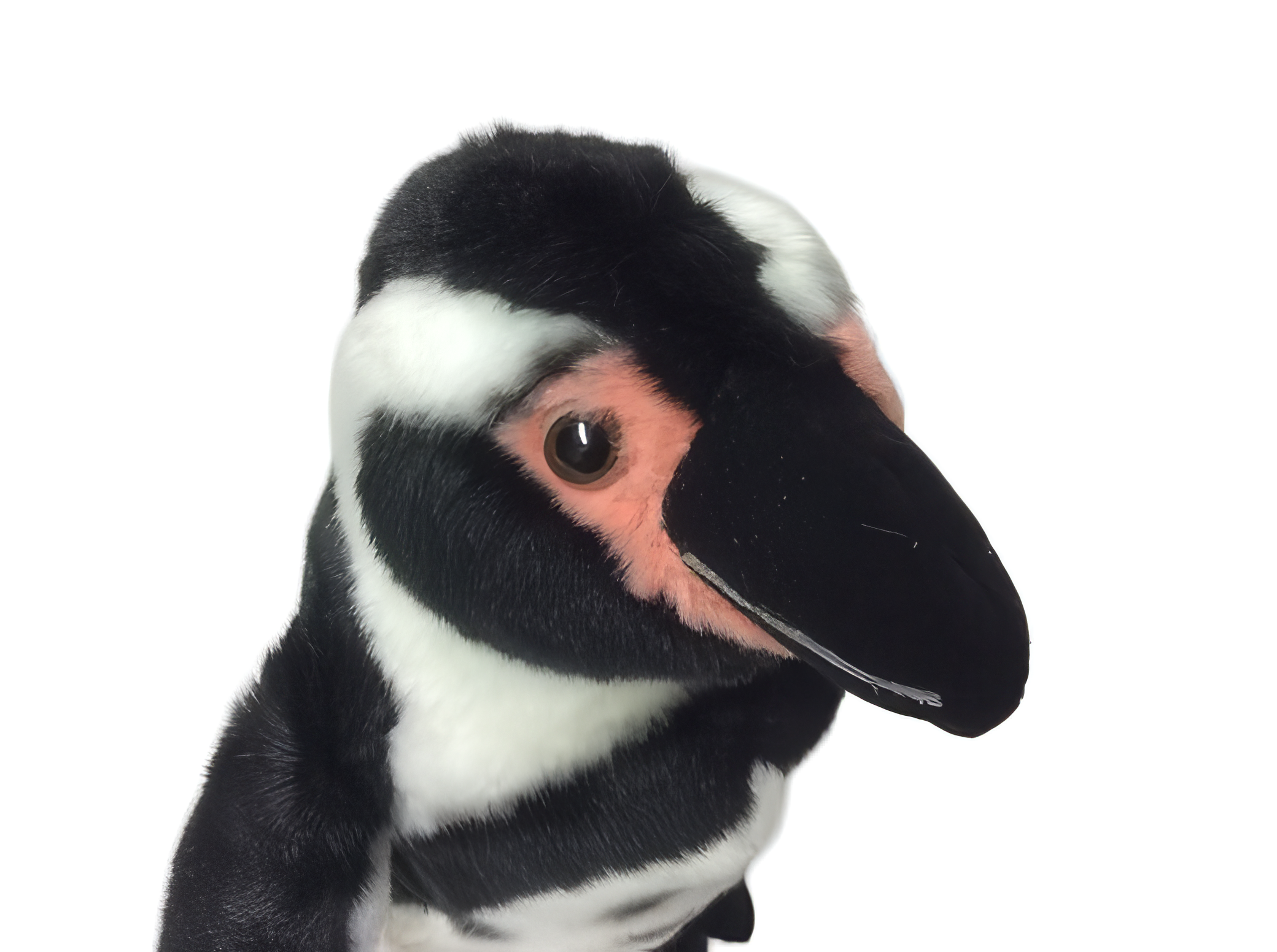 Humboldt Pinguin 24cm - Plüschtier