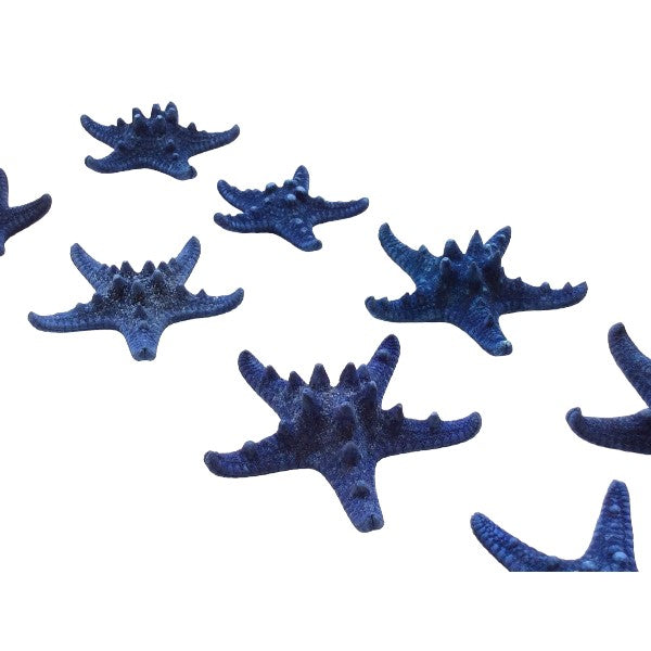 Seesterne Rhino Echt / blau 4 -7cm, Set mit 10Stk. - SMA NAUTIC PRODUCTS