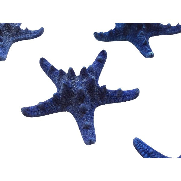 Seesterne Rhino Echt / blau 4 -7cm, Set mit 10Stk. - SMA NAUTIC PRODUCTS