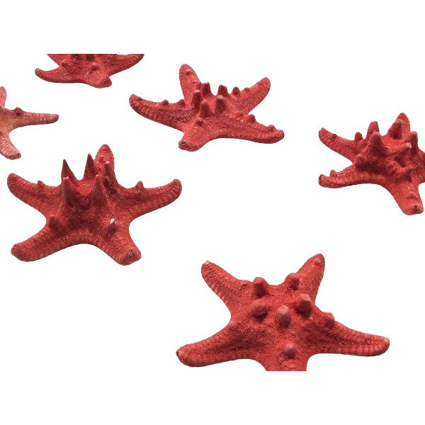 Seesterne Rhino Echt / rot 4 -7cm, Set mit 10Stk. - SMA NAUTIC PRODUCTS